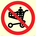 p925-prohibition-no-standing-in-trolley~